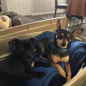 Meet your Posher, Daniel